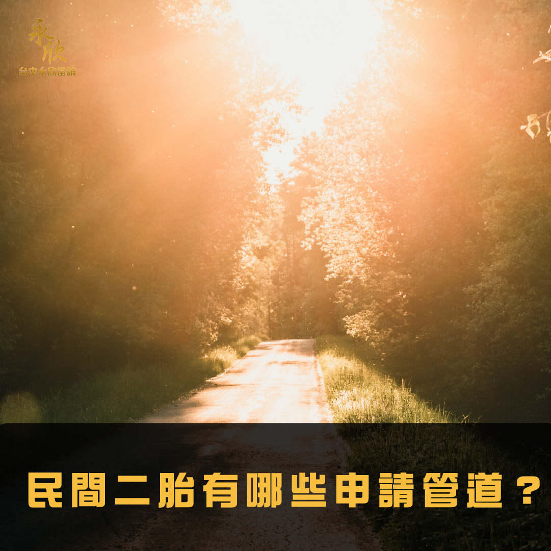 民間二胎有哪些申請管道？